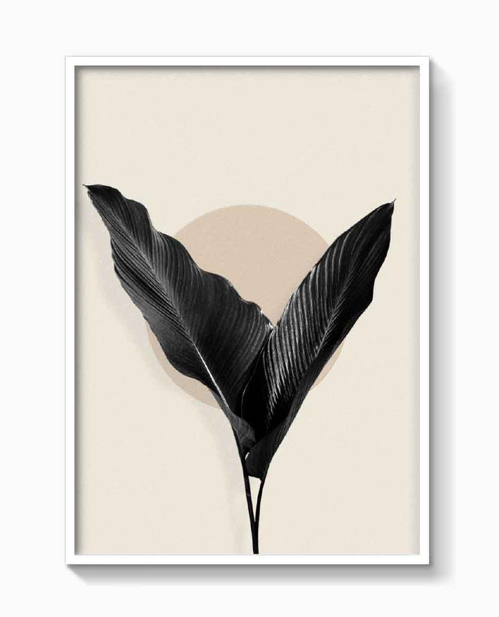 BLACK PALM