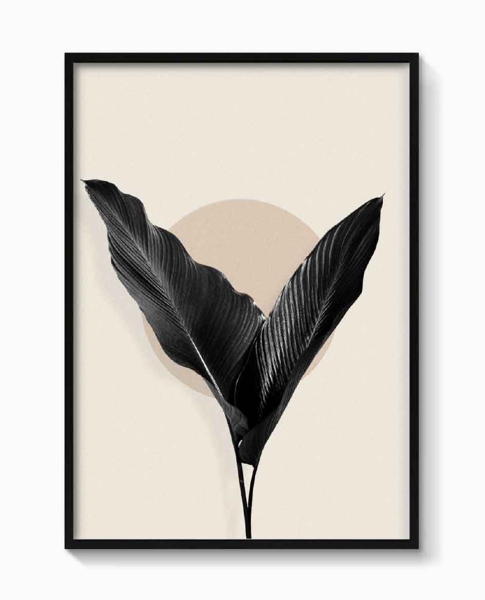 BLACK PALM